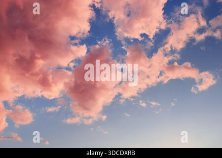 Beautiful sky with pink clouds within summer sunset as a background Stock Photo