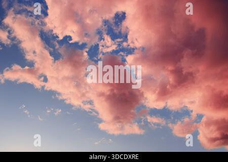 Beautiful sky with pink clouds within summer sunset as a background Stock Photo