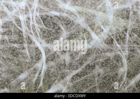 Fiberglass texture, Glass Reinforced Plastic Stock Photo
