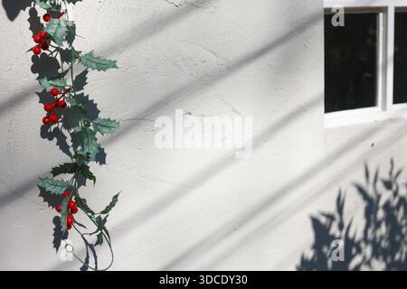 Serene green holly branch with red berries hanging against white wall showing calm atmosphere on sunny day featuring diagonal shadow lines and window Stock Photo
