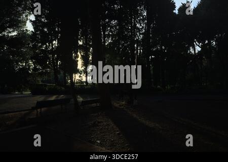 Trail dimly lit at sunset with the light passing through trees of a park and the sea in the distance Stock Photo