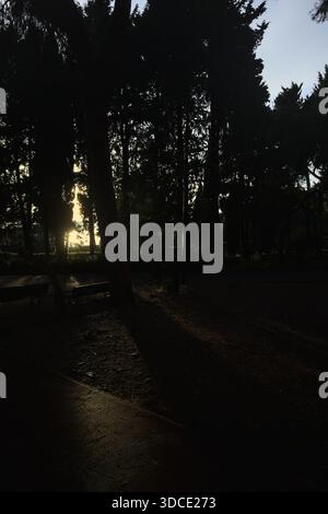 Trail dimly lit at sunset with the light passing through trees of a park and the sea in the distance Stock Photo