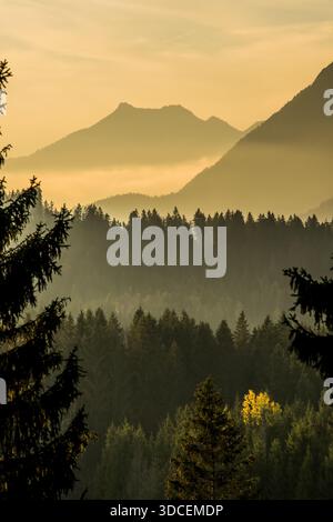 View of the serene forest with layers of trees fading into the misty mountains against a golden sky, Krun, Bavaria, Germany. Stock Photo