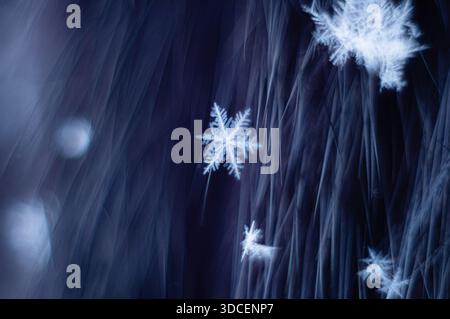 Macro photo of single detailed snowflake floating on dark blue abstract background with motion blur, creative winter texture for Christmas, science, f Stock Photo