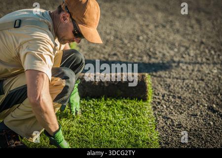A worker kneels on the ground, placing grass sod carefully as part of a landscaping project. Stock Photo