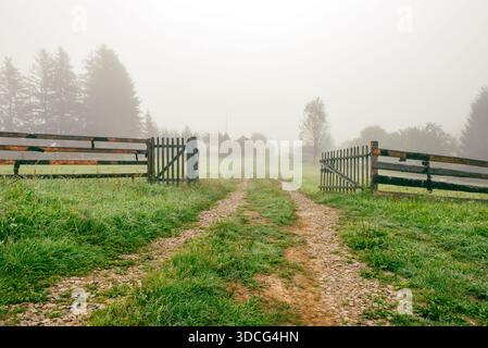 Misty summer morning in a mountain village. Mystical landscape with road and old wooden wicket Stock Photo