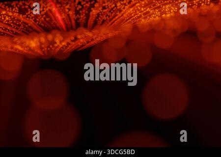 Abstract red bokeh background with glowing fiber optic lights. Futuristic digital technology concept, data transfer, internet communication, or festiv Stock Photo