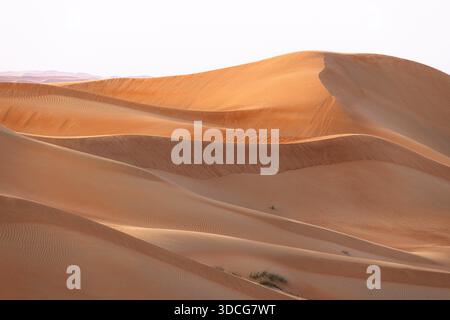 View of the undulating orange dunes, sculpted by the wind, create a mesmerizing desert landscape, a symphony of sand and sky, Bateen Liwa, Abu Dhabi, Stock Photo