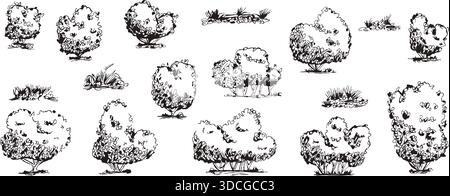 Doodle collection of bushes, grass hedges in simple black outlines. Vector garden vegetation set shrub tree silhouettes isolated on white background. Stock Vector