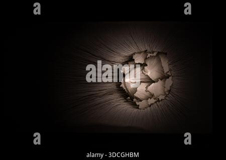 Zaragoza, Spain - 27 May 23: An abstract composition featuring intricate, flowing lines and shapes resembling leaves or petals, illuminated against a Stock Photo