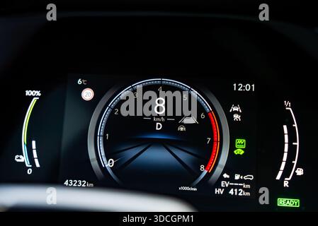 Lexus RX 450h plus digital cluster shows 8 km per h and driver