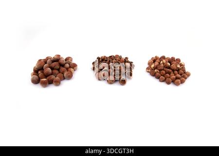 heap of in-shell hazelnuts, heap of hazelnut kernels, heap of hazelnut shells. hazelnuts on a white background Stock Photo