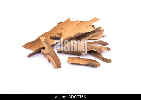 Dried bark on a white background. brown dry bark stock photo Stock Photo