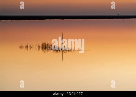 A minimalist image of the Donana National Park marsh at twilight showcases a tranquil and serene landscape. Stock Photo