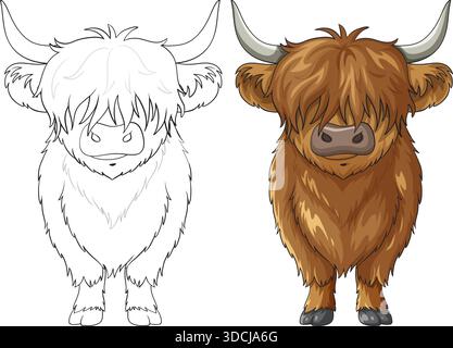 Front-facing Highland cow shown in both detailed color and clean line art styles, emphasizing shaggy fur, large horns, and symmetrical composition Stock Vector