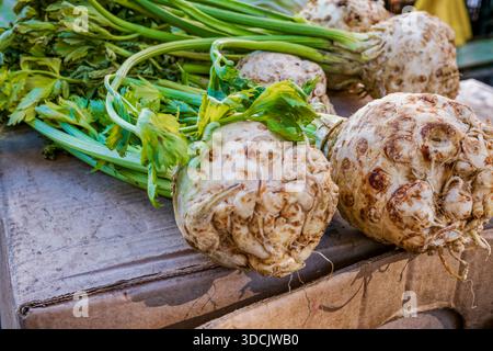 Fresh celery root with green leaves on a wooden surface. Stock Photo