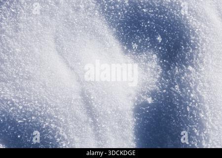 Winter holidays. Close-up of fresh sparkling snow under bright sun. Textured winter background with soft white drifts and deep blue shadows for contra Stock Photo