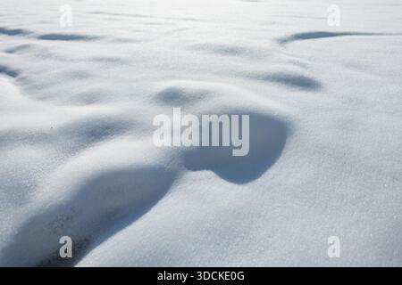 Fresh, undisturbed snow texture with gentle drifts and shadows under bright sunlight. Winter landscape background. Snow texture. Stock Photo