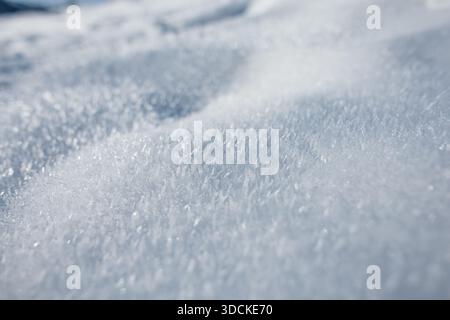serene close-up of sparkling fresh snow, capturing delicate crystal textures illuminated by sunlight. Soft curves and gentle shadows create a peaceful Stock Photo