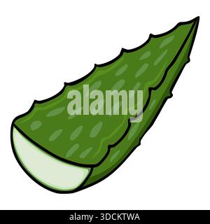 A stylized vector illustration of a vibrant green aloe vera leaf segment, showcasing its textured surface and fleshy interior. Stock Vector