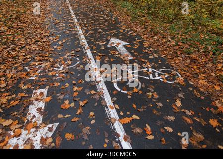 Autumn bike path covered with fallen leaves in the park. Scenic seasonal background with bicycle lane markings, symbolizing travel, eco transport, and Stock Photo