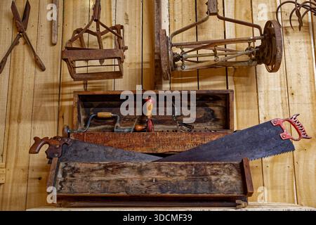 Old garden equipment hanging on the wall with a wooden tool box full of vintage tools a collection on display indoors Stock Photo