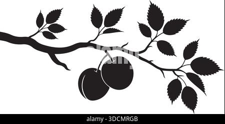 Fruit Tree Branch Silhouette with Leaves and Plums Black Vector Illustration Stock Vector