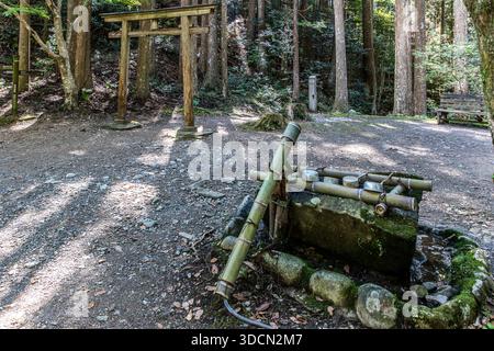 A wooden torii gate and a chōzuya, a purification fountain fed by a bamboo water pipe, stand in the forest at Hosshinmon-oji near Tanabe, Wakayama Prefecture, Japan. Pilgrims wash their hands here before passing through the outermost gate to the sanctuary of Kumano Hongū Taisha. Stock Photo