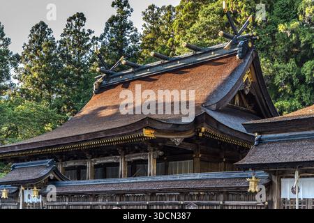 The decorative timbers on the roof of Kumano Hongu Taisha: Chigi are the pointed, golden forks at the ends of the roof. They symbolise the transition between heaven and earth and the connection to the divine, and "pierce the sky". Katsuogi are the transverse beams. They emphasise the majestic silhouette and represent purity and protection by the kami. Kumano Hongu Taisha is the centre of Kumano Sanzan (Hongu, Hayatama and Nachi Taisha) and the main shrine of more than 4,700 Kumano shrines. Tanabe, Wakayama Prefecture, Japan Stock Photo