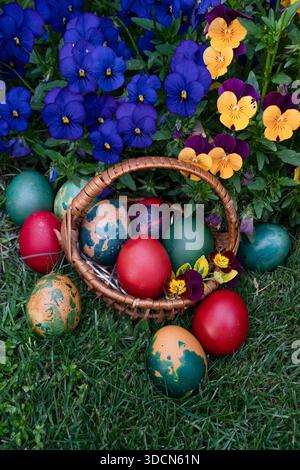 Painted colorful Easter eggs in a small basket on green grass next to a beautiful flower Stock Photo