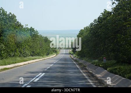 Travel romania tulcea sulina danube delta black sea asphalt road descending between lush trees, leading to distant green fields under clear sky Stock Photo