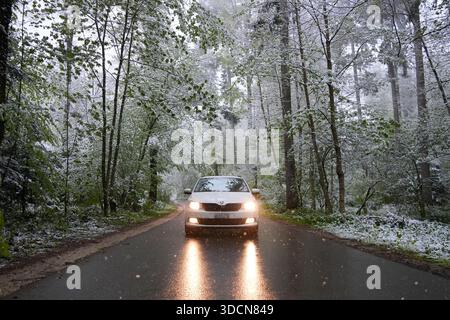 Travel switzerland mountains white car driving on a wet forest road during an unexpected spring snowfall in switzerland Stock Photo