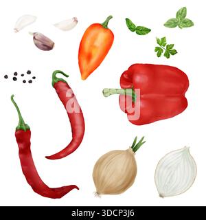 Onion and garlic cloves, bell pepper, hot black pepper and bay leaf, chili pepper pod and dill sprig. Watercolor digital illustration. Kitchen herbs a Stock Photo
