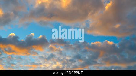 A vast blue sky is filled with textured cumulus clouds illuminated by a golden orange sunset. Stock Photo