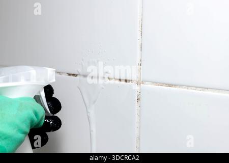 Man is putting gypsum baseboard with glue on ceiling. Maintenance repair works in the flat. Restoration indoors. Drywall panel. Stock Photo