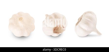 Set of three fresh whole garlic bulbs isolated on white background, showing different angles. High quality photo Stock Photo