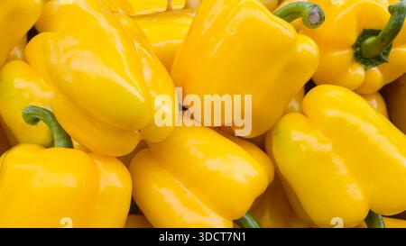 Large sweet peppers in large boxes on store shelves. Displaying and selling vegetables. Procurement. Stock Photo