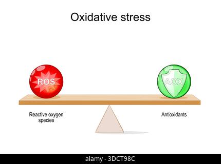 Oxidative stress and balance between antioxidants and Reactive oxygen species. Free radicals, Stable molecule and Antioxidant. Lever with two balls RO Stock Vector