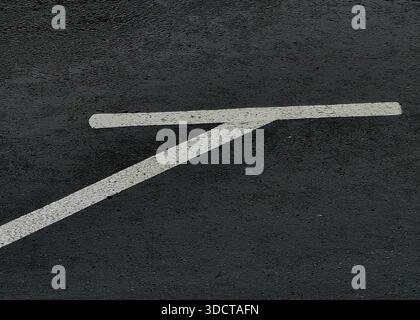Marked Space. Stock Photo