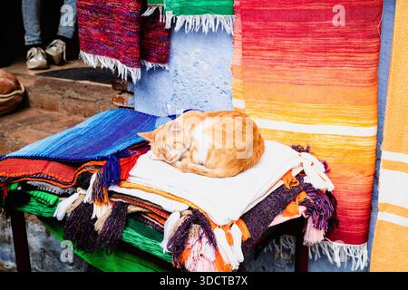 A ginger cat sleeps on a stack of colorful fringed rugs displayed in a Moroccan alley. The rugs feature vibrant tones, with a blue wall in the backgro Stock Photo