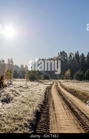The sun shines brightly over a dirt road with tire tracks running through a white, frosty rural landscape. Stock Photo