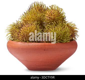 clay bowl of fresh green and yellow rambutans isolated white background, side view in close-up Stock Photo