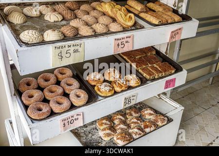Puebla Mexico,Centro Historico historic center centre,bakery inside interior,pan dulce variety,donuts,rolls,conchas,pastry trays,food market,business Stock Photo