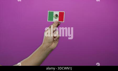 Man hand holding mexican flag embroidery against a vibrant pink wall, showcasing national pride and craft on an isolated colored background with empha Stock Photo
