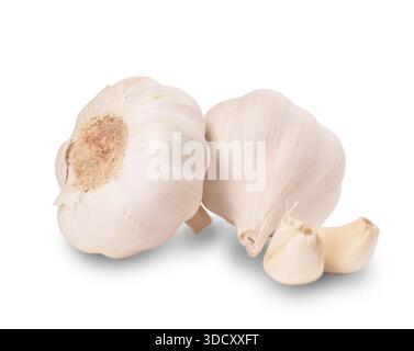 Two whole fresh garlic bulbs and cloves isolated on a white background, organic vegetable ingredient. High quality photo Stock Photo