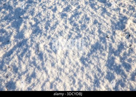 Fresh snow texture illuminated by sunlight creating clean winter background Stock Photo