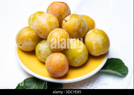 Sweet ripe small yellow mirabelle plums from France, healthy organic fruits close up Stock Photo