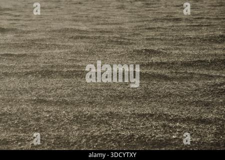water surface of the Gulf of Finland in heavily rain, raindrops, storm Stock Photo