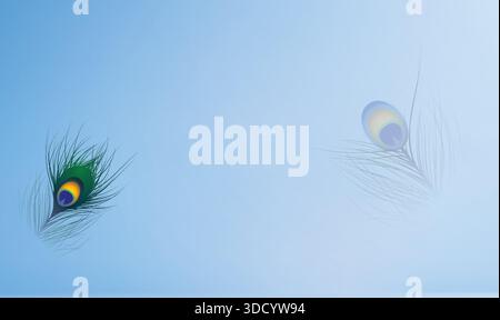 peacock feather on light sky colour background Stock Vector