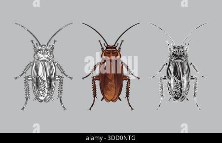 Three cockroaches in line art, colored, and black and white styles. Stock Vector